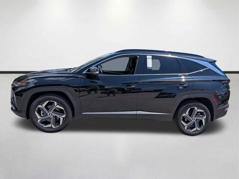 Used 2024 Hyundai Tucson Limited AWD/4WD image 7