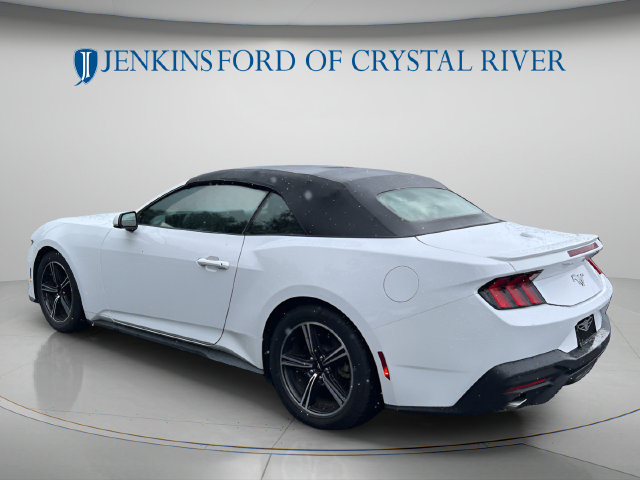 Used 2024 Ford Mustang Premium RWD image 9