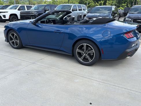 Used 2024 Ford Mustang Convertible RWD image 6