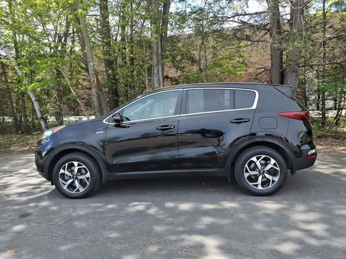 Used 2020 Kia Sportage LX w/ LX Popular Package AWD/4WD image 8