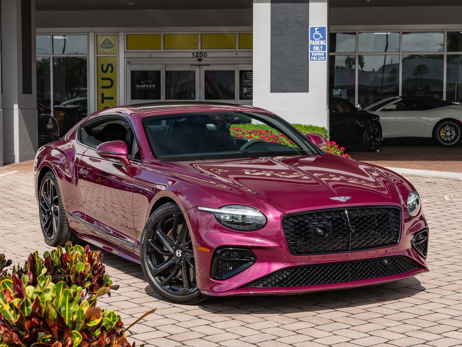 Used 2025 Bentley Continental GT Speed AWD/4WD image 3
