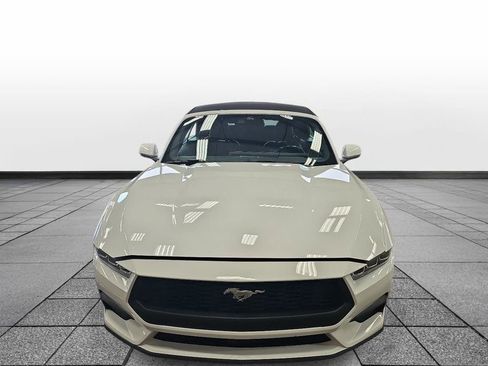 Used 2024 Ford Mustang Premium image 2