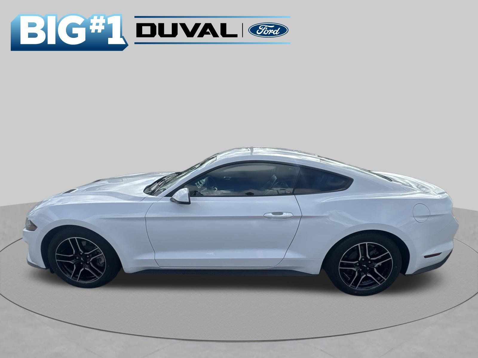Used 2019 Ford Mustang Premium w/ Equipment Group 201A RWD image 7
