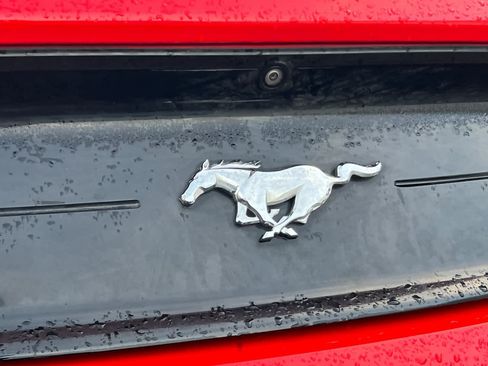 Used 2021 Ford Mustang EcoBoost image 7