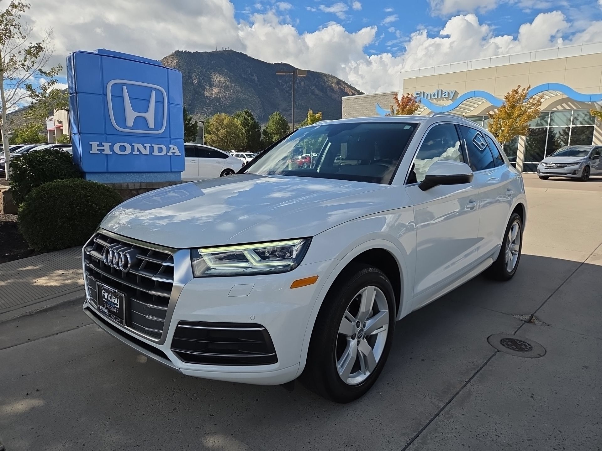 Used 2019 Audi Q5 2.0T Premium Plus w/ Premium Plus Package AWD/4WD image 1