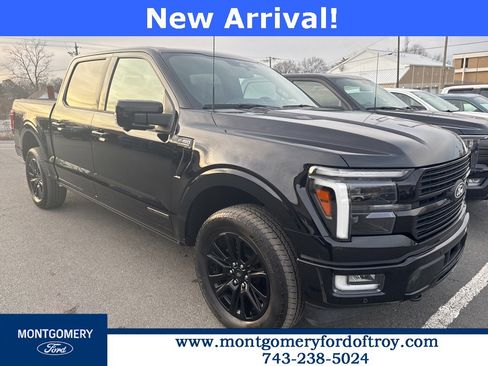 Used 2024 Ford F150 Platinum w/ Equipment Group 702A High image 1