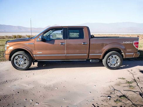 Used 2011 Ford F150 Platinum AWD/4WD image 3