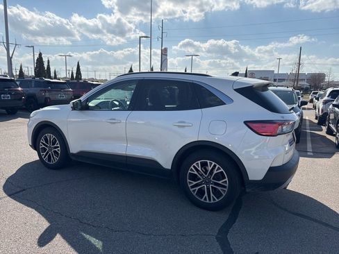 Used 2020 Ford Escape SEL image 4