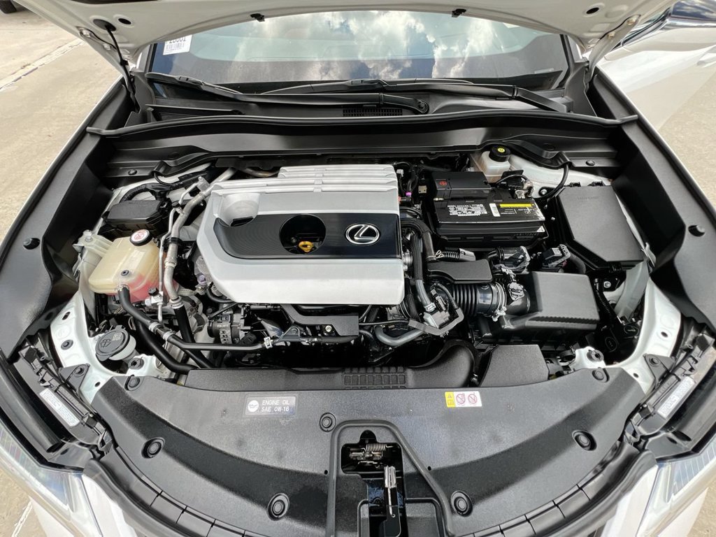 Used 2019 Lexus UX 200 w/ Premium Package FWD image 10