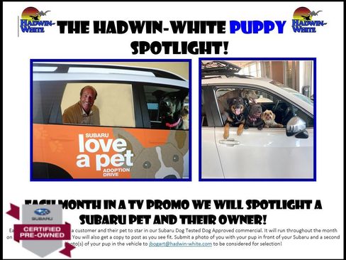 Used 2022 Subaru Outback Premium image 5