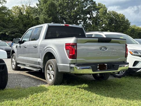 Used 2025 Ford F150 XLT w/ Equipment Group 301A Standard RWD image 5
