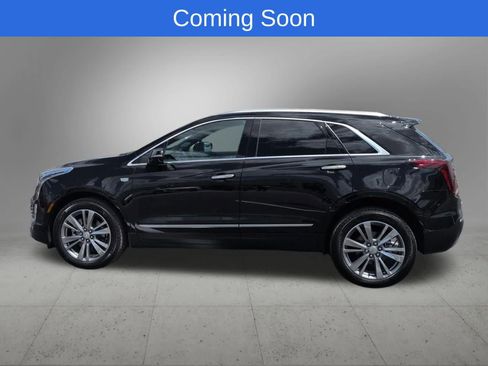 Used 2025 Cadillac XT5 Premium Luxury AWD/4WD image 3