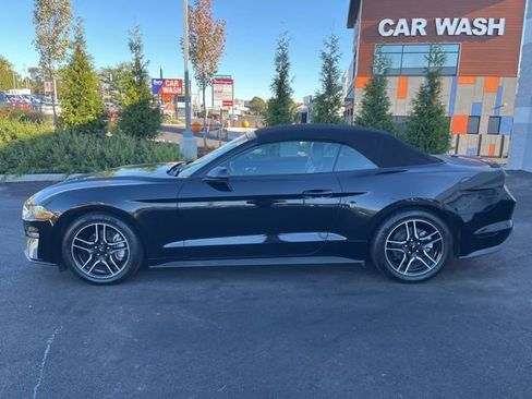 Certified 2023 Ford Mustang Premium image 3