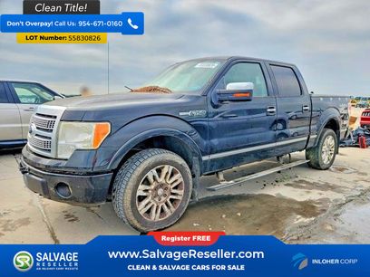 Used 2011 Ford F150 Platinum