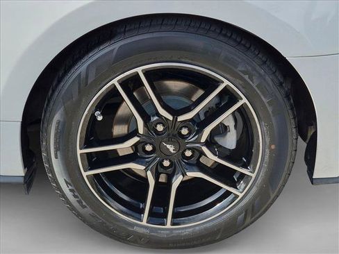 Used 2019 Ford Mustang Premium RWD image 20