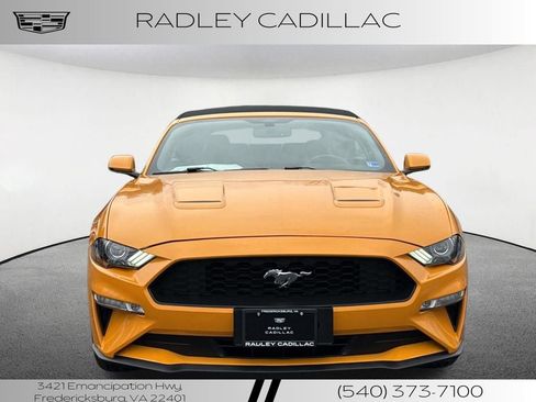Used 2019 Ford Mustang Premium image 21