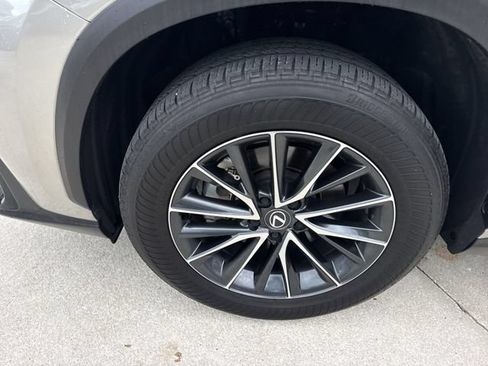 Used 2025 Lexus NX 250 FWD w/ Cold Area Package image 10