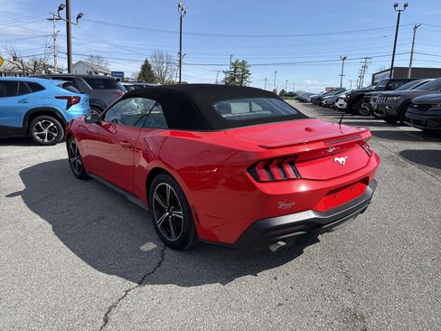 Used 2025 Ford Mustang Premium RWD image 6