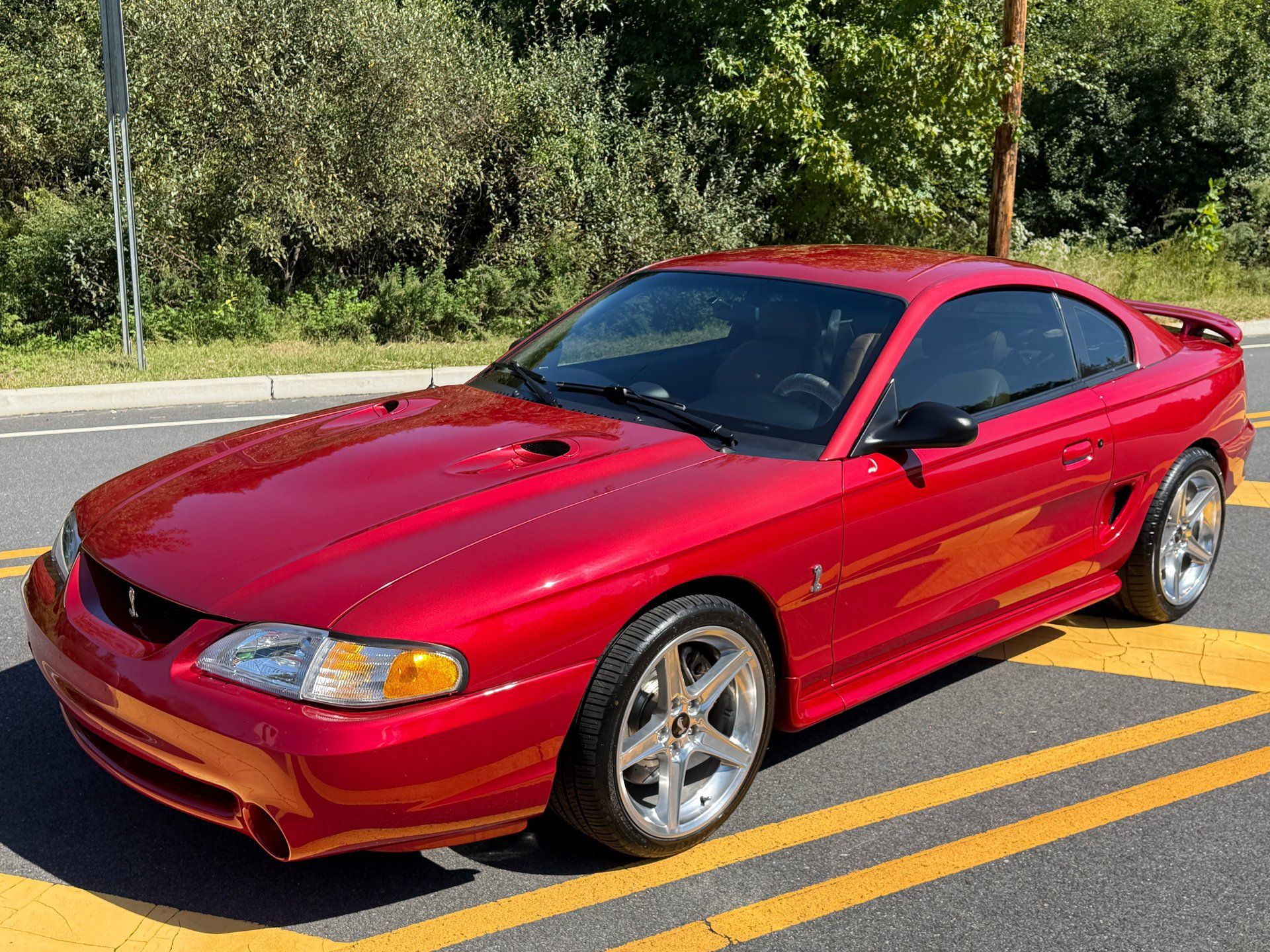 Used 1996 Ford Mustang Cobra RWD image 4