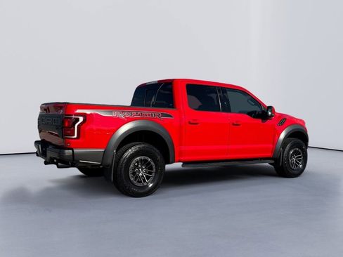 Used 2019 Ford F150 Raptor w/ Equipment Group 802A Luxury image 6