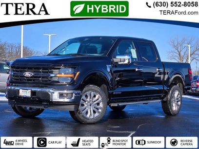 Used 2025 Ford F150 XLT w/ Equipment Group 303A High