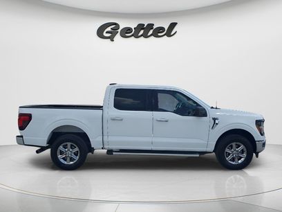 Used 2025 Ford F150 XLT w/ Equipment Group 301A Standard