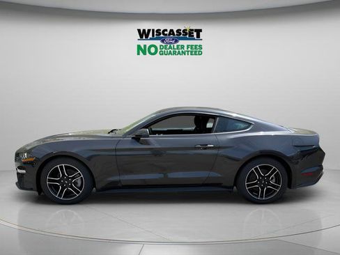 Used 2023 Ford Mustang Coupe w/ Equipment Group 101A RWD image 2