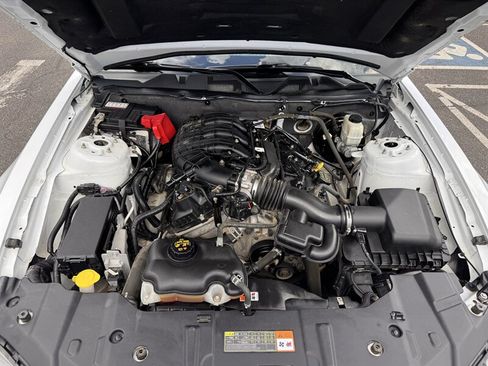 Used 2014 Ford Mustang Premium w/ Equipment Group 201A RWD image 9