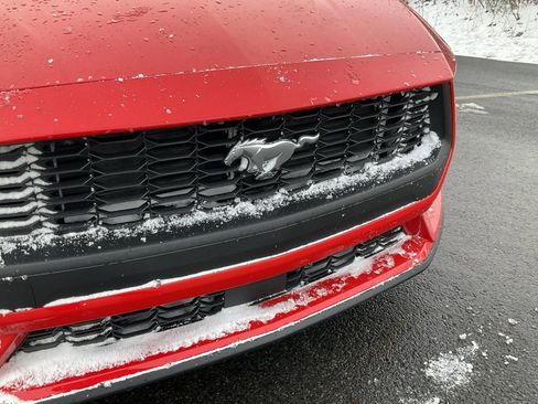 New 2026 Ford Mustang Premium image 19