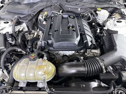 Used 2019 Ford Mustang Premium w/ Equipment Group 201A RWD image 31