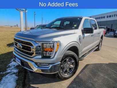 Used 2023 Ford F150 XLT w/ Equipment Group 302A High