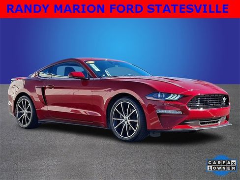 Used 2023 Ford Mustang Premium w/ Equipment Group 201A image 3