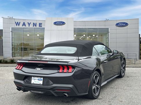 Used 2024 Ford Mustang Premium RWD image 5