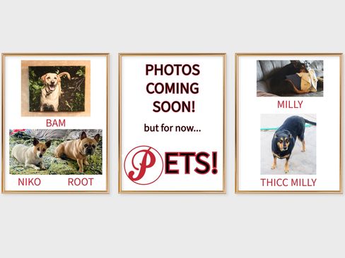 Used 2022 Ford Transit 350 XLT image 5