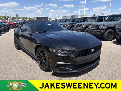 Used 2024 Ford Mustang Premium RWD image 1