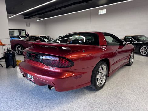 Used 2002 Pontiac Firebird Trans Am w/ SLP Firehawk Pkg RWD image 4