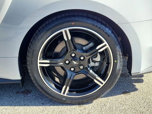 Used 2019 Ford Mustang GT Premium w/ Equipment Group 401A image 6