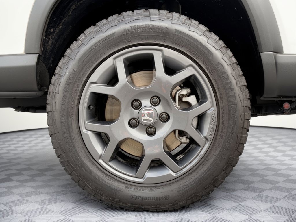 Certified 2024 Honda Pilot TrailSport image 10
