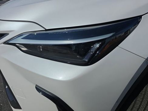 Certified 2024 Lexus NX 350h AWD w/ Cold Area Package image 31