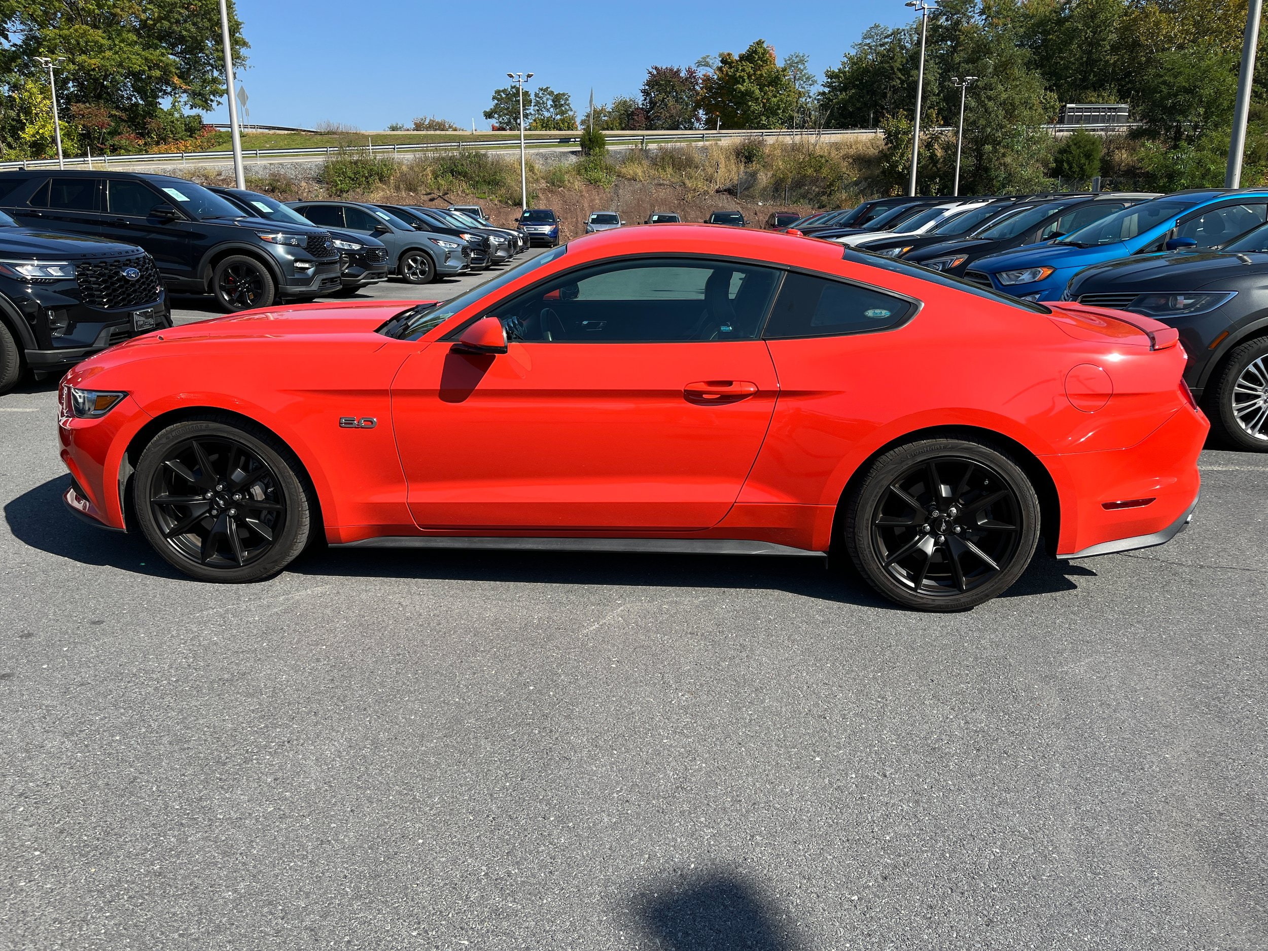 Used 2015 Ford Mustang GT Premium w/ Equipment Group 401A RWD image 8