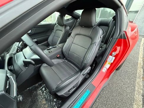 New 2025 Ford Mustang GT Premium image 19