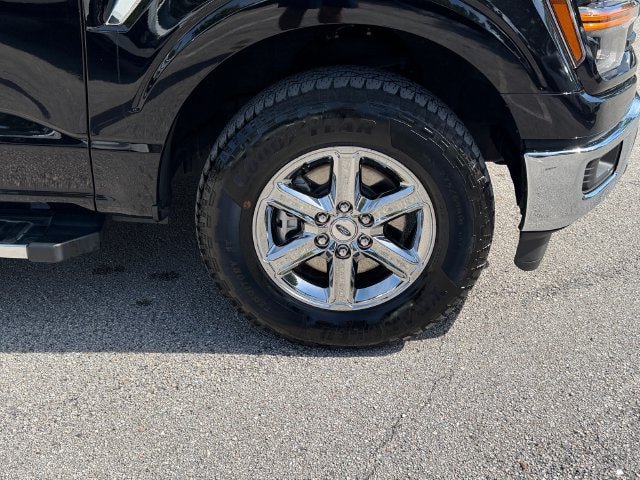 Used 2025 Ford F150 XLT w/ Equipment Group 301A Standard AWD/4WD image 9