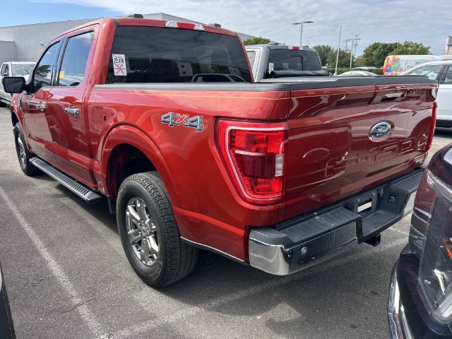 Used 2023 Ford F150 XLT w/ Equipment Group 302A High AWD/4WD image 8
