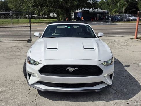 Used 2020 Ford Mustang Premium RWD image 2
