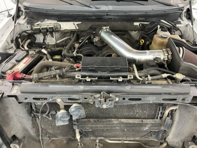 Used 2010 Ford F150 XLT AWD/4WD image 23