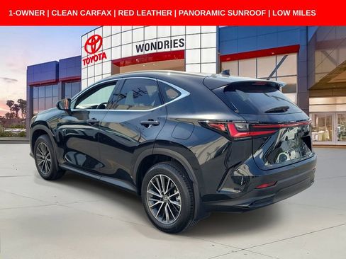 Used 2025 Lexus NX 350h AWD w/ Cold Area Package image 7