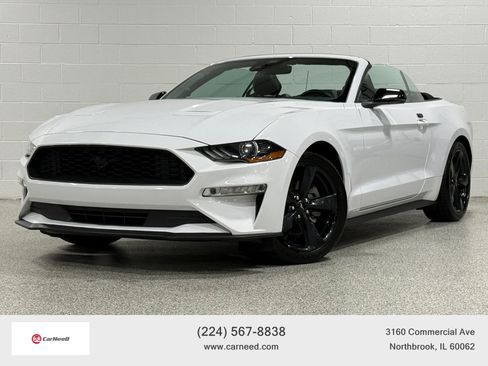 Used 2021 Ford Mustang Premium w/ Equipment Group 201A RWD image 1