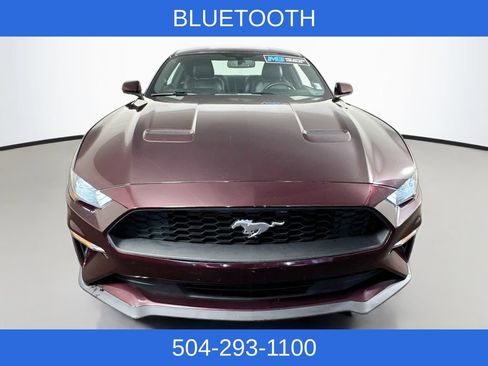 Used 2018 Ford Mustang Premium RWD image 3