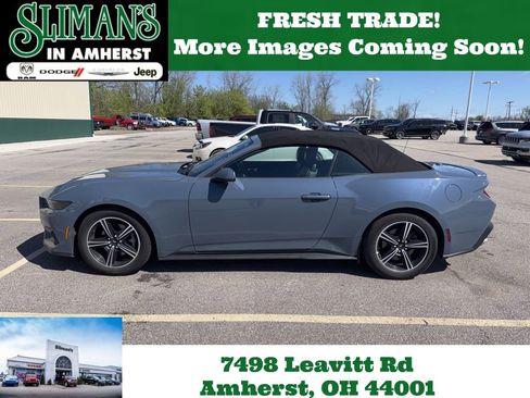 Used 2025 Ford Mustang Premium image 1