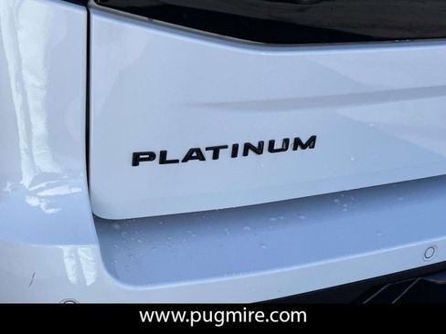 New 2025 Ford Expedition Platinum w/ Stealth Performance Package image 19